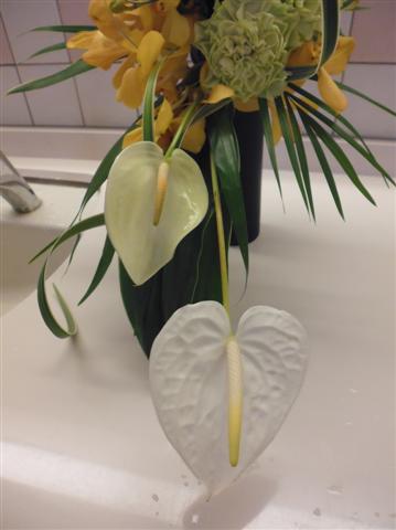 ファイル 2024-8.jpg