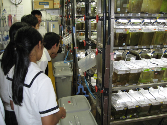 ファイル 2052-3.jpg