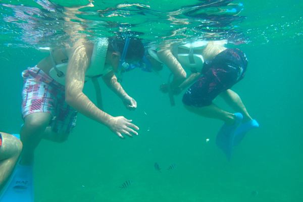 ファイル 2150-7.jpg