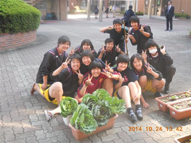 ファイル 2165-1.jpg