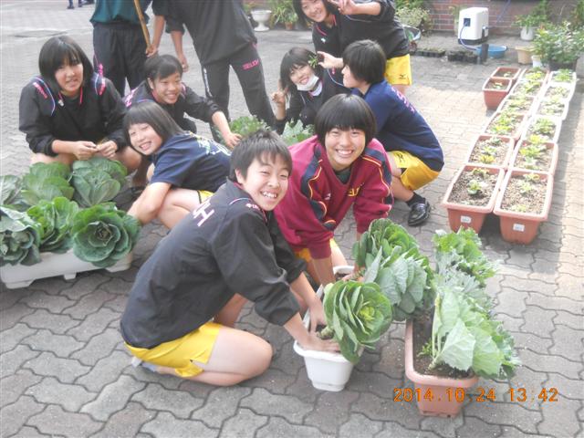 ファイル 2165-2.jpg