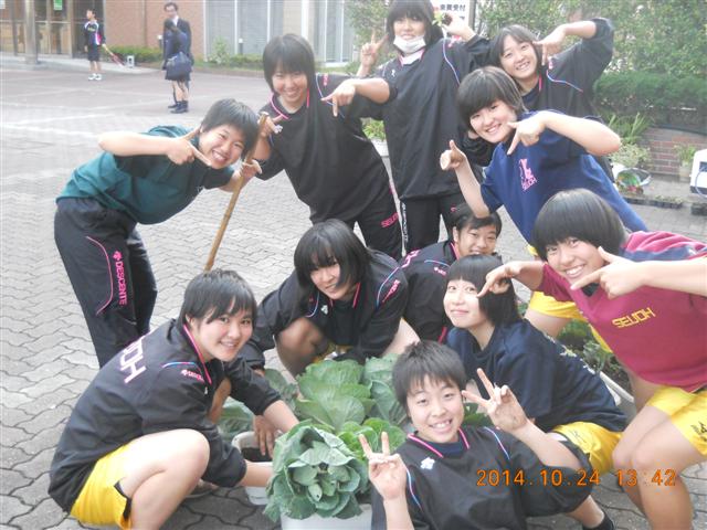 ファイル 2165-3.jpg