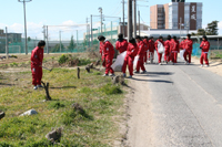 ファイル 217-1.jpg