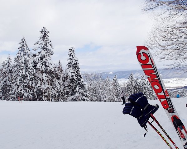 ファイル 2292-1.jpg