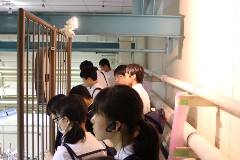 ファイル 2377-3.jpg