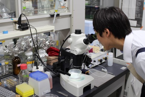 ファイル 2377-5.jpg