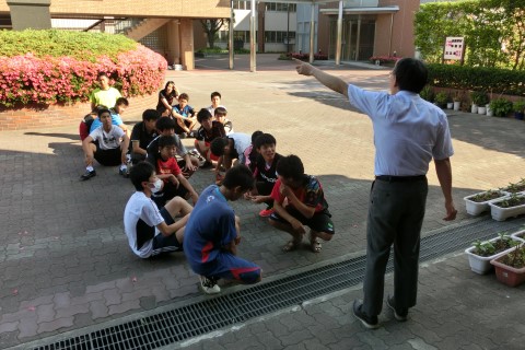 ファイル 2380-1.jpg