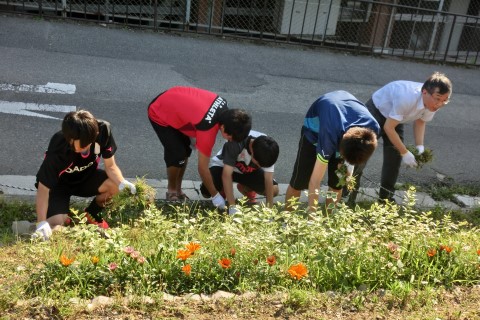 ファイル 2380-6.jpg