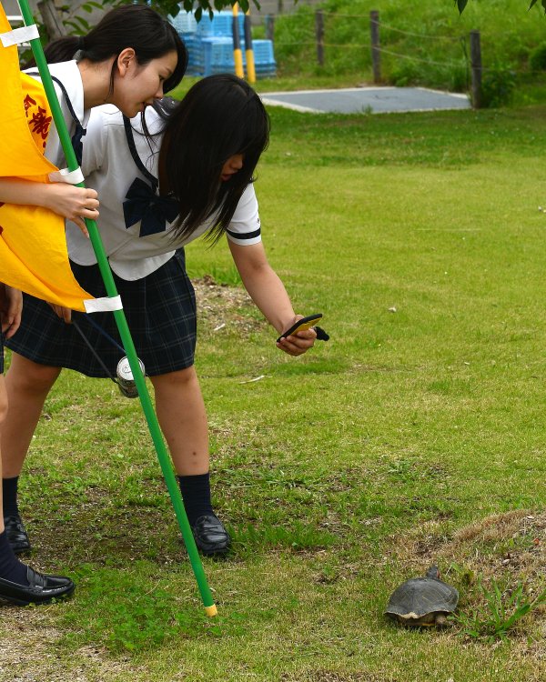 ファイル 2440-6.jpg