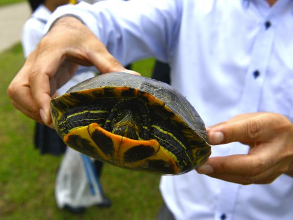 ファイル 2440-7.jpg