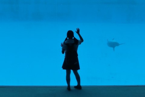 ファイル 2441-3.jpg