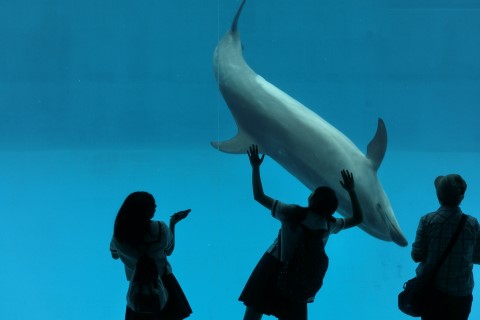 ファイル 2441-4.jpg