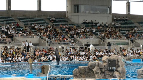 ファイル 2441-5.jpg