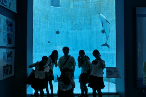 ファイル 2441-6.jpg