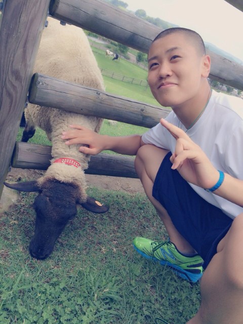 ファイル 2479-5.jpg