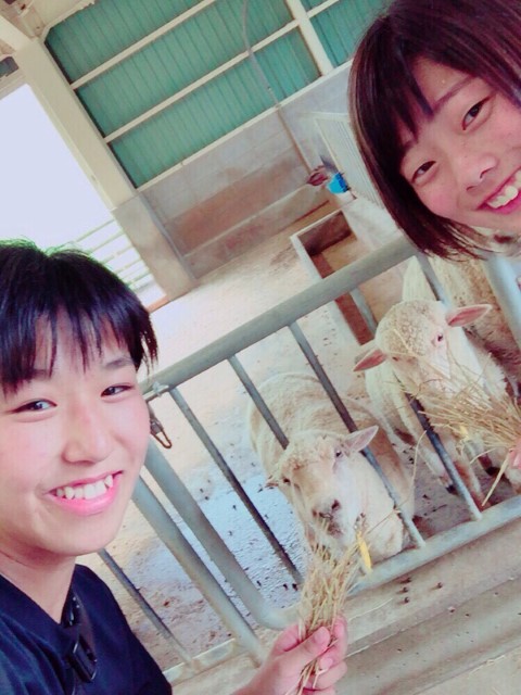 ファイル 2479-6.jpg