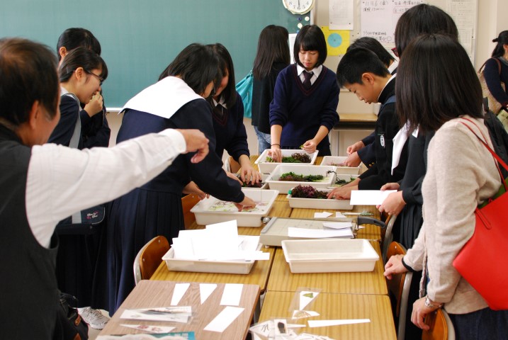 ファイル 2644-7.jpg