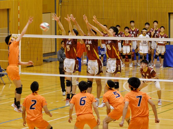 ファイル 2648-5.jpg