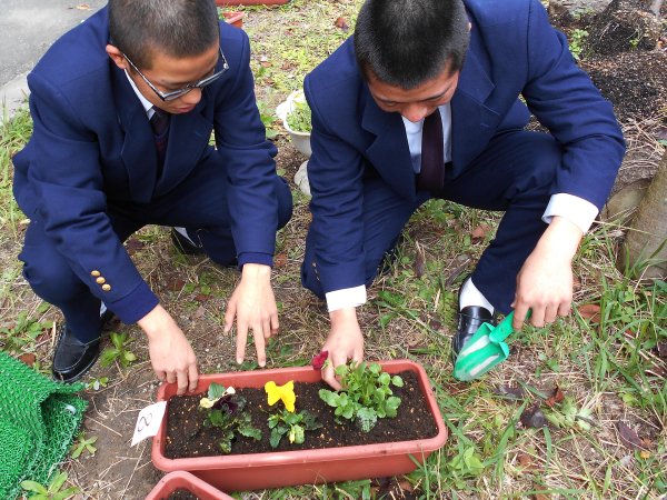 ファイル 2652-1.jpg