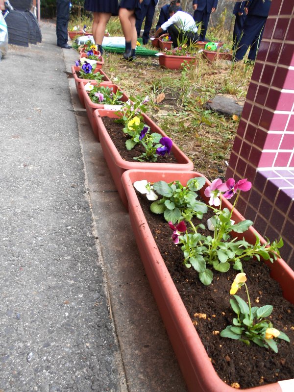 ファイル 2652-4.jpg