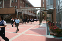 ファイル 266-1.jpg