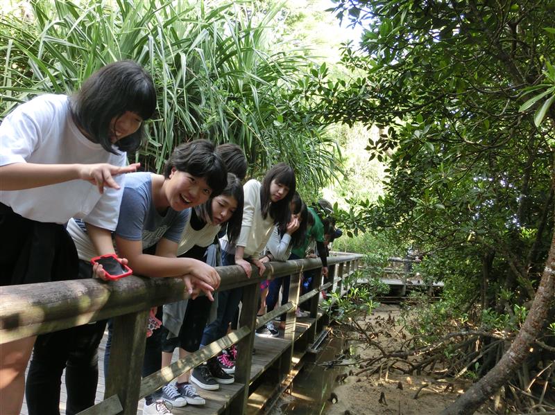 ファイル 2667-6.jpg