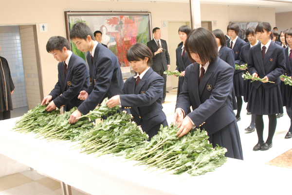 ファイル 2712-4.jpg