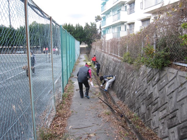 ファイル 2721-1.jpg