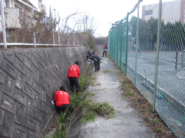 ファイル 2721-2.jpg