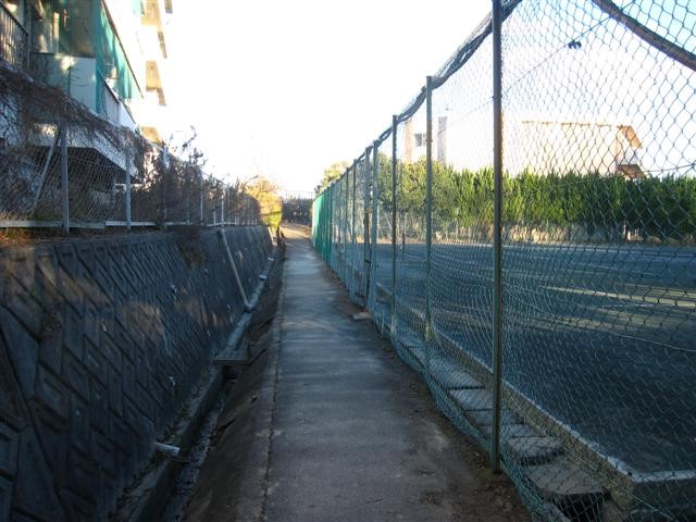 ファイル 2721-6.jpg