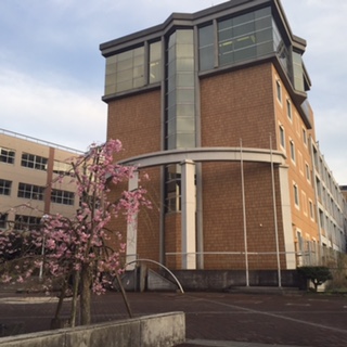 ファイル 2871-3.jpg