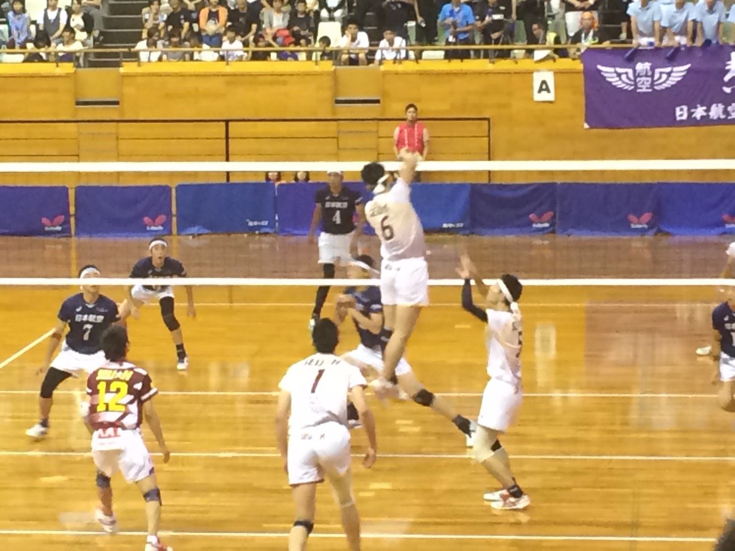 ファイル 3033-1.jpg