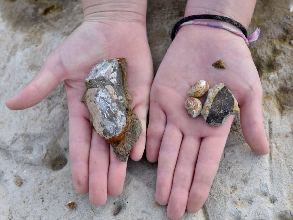 ファイル 3194-4.jpg