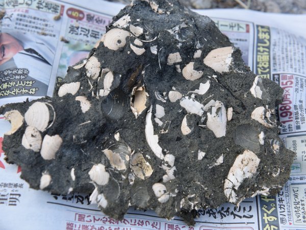 ファイル 3194-5.jpg