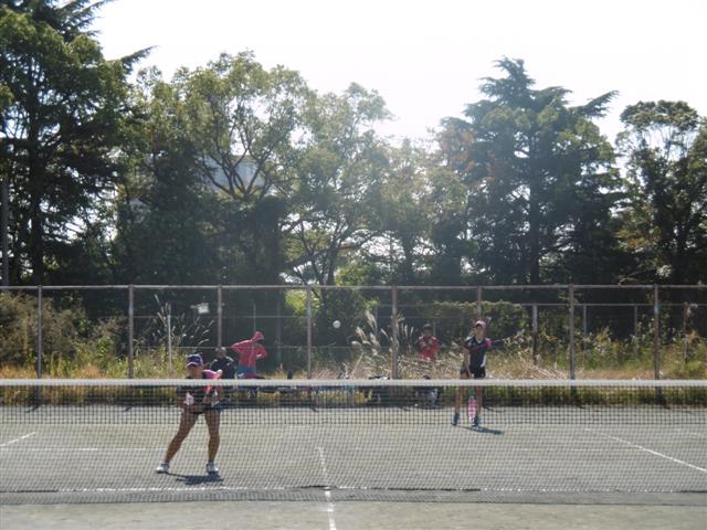 ファイル 3234-2.jpg