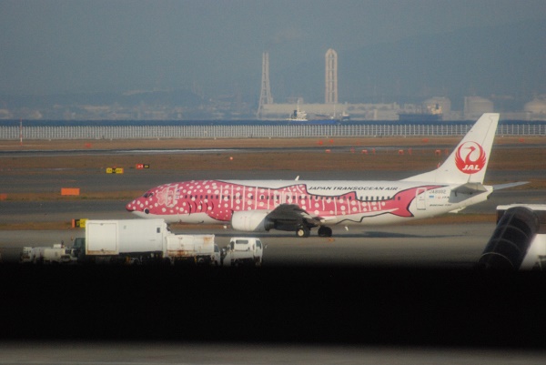 ファイル 3252-4.jpg