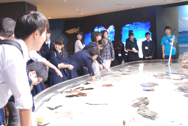 ファイル 3262-1.jpg