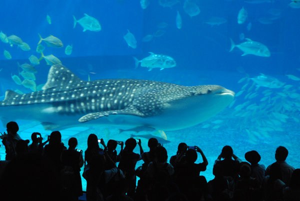 ファイル 3262-3.jpg