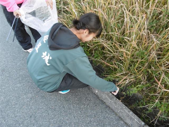 ファイル 3268-1.jpg