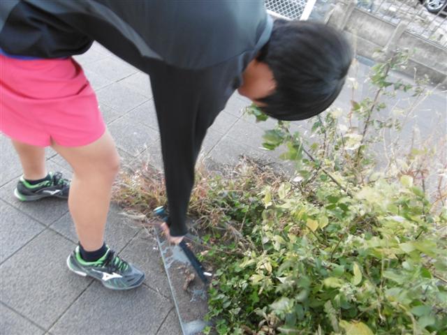 ファイル 3268-4.jpg