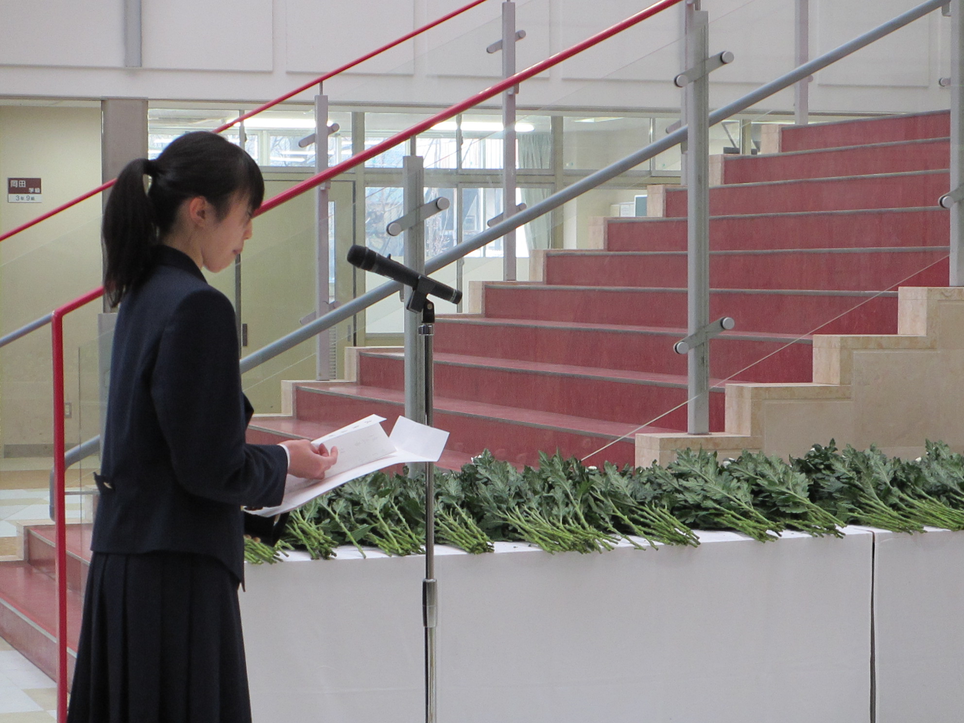 ファイル 3292-2.jpg