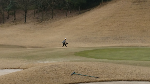 ファイル 3403-2.jpg