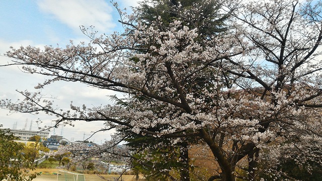 ファイル 3408-2.jpg