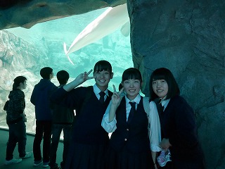 ファイル 3454-2.jpg