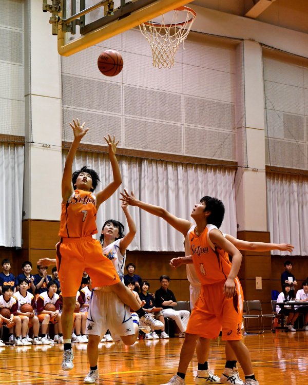 ファイル 3482-3.jpg