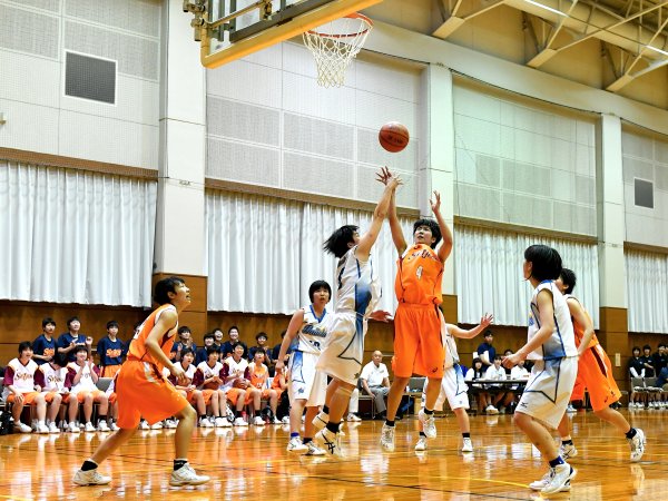 ファイル 3482-5.jpg