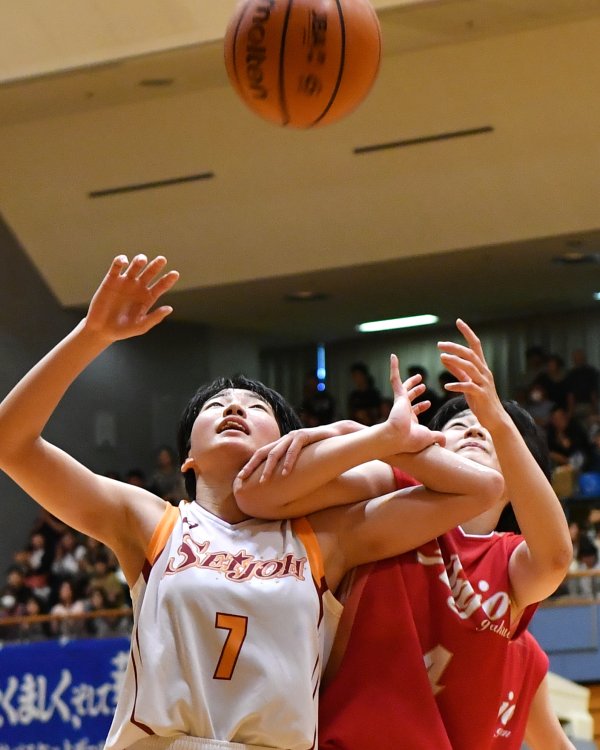 ファイル 3491-3.jpg