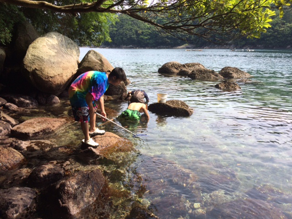 ファイル 3512-3.jpg