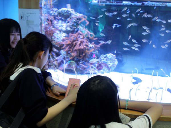 ファイル 3522-2.jpg