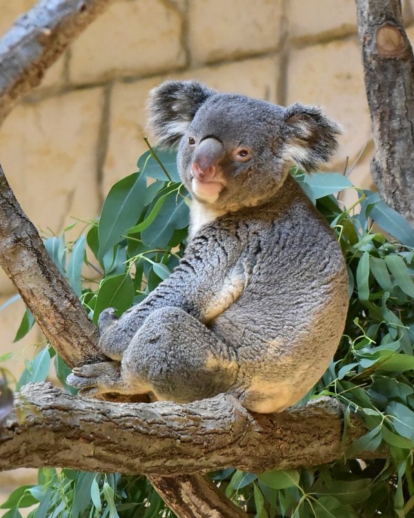 ファイル 3522-4.jpg